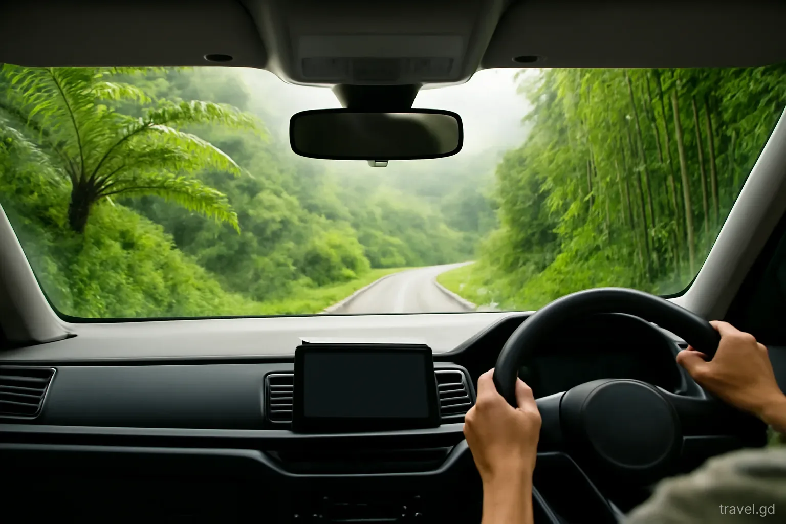 View from behind a driver's shoulder on a winding green mountain road in Grenada's interior, tree ferns and bamboo either side, light mist, soft diffused daylight